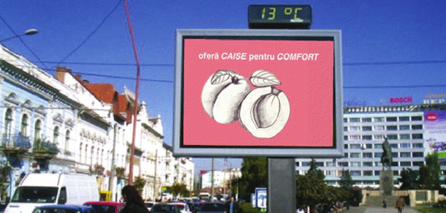 calina_palimariu